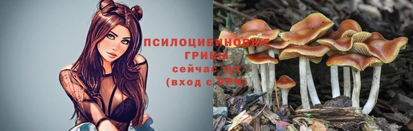 бутират Балахна