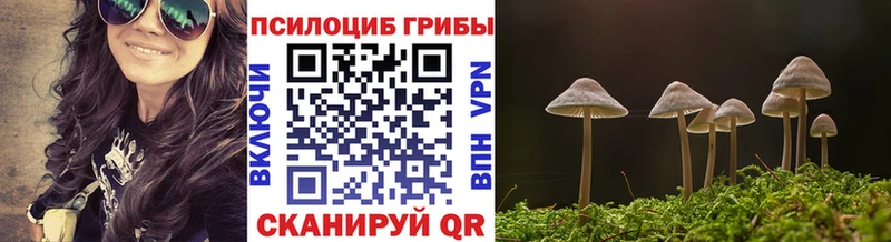 Галлюциногенные грибы Cubensis  Красноуральск 